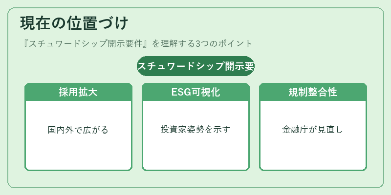現在の位置づけ（スチュワードシップ開示要件）の図解
