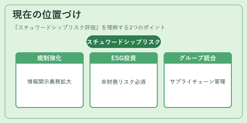 現在の位置づけ（スチュワードシップリスク評価）の図解