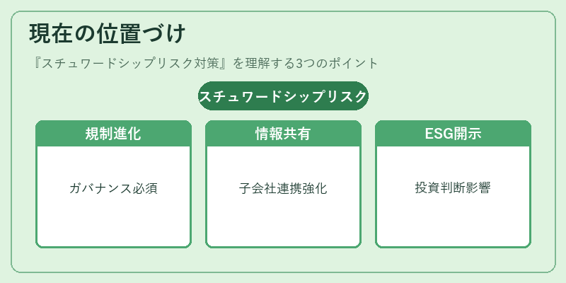現在の位置づけ（スチュワードシップリスク対策）の図解