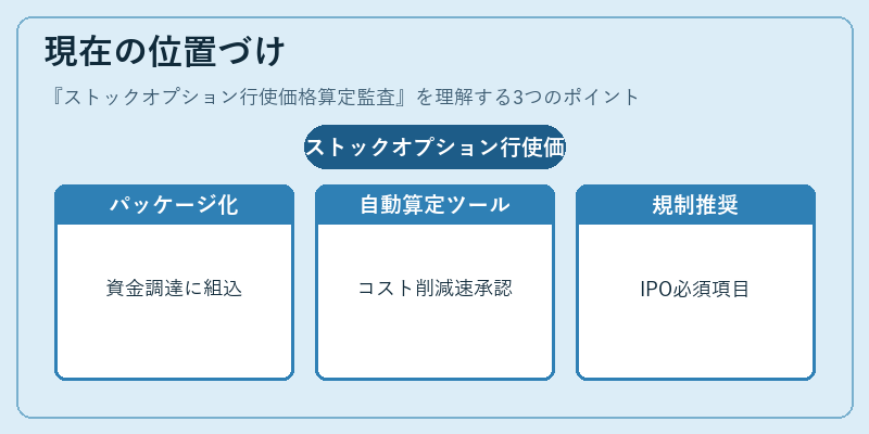 現在の位置づけ（ストックオプション行使価格算定監査）の図解