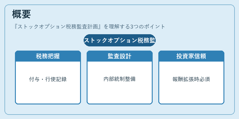概要（ストックオプション税務監査計画）の図解