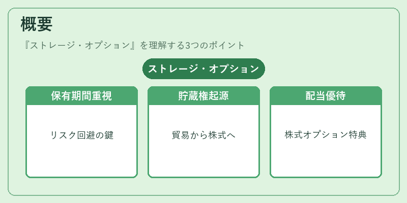 概要(ストレージ・オプション)の図解