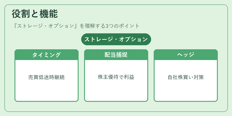 役割と機能(ストレージ・オプション)の図解