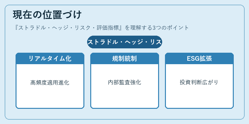 現在の位置づけ（ストラドル・ヘッジ・リスク・評価指標）の図解