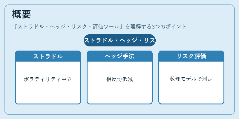 概要（ストラドル・ヘッジ・リスク・評価ツール）の図解