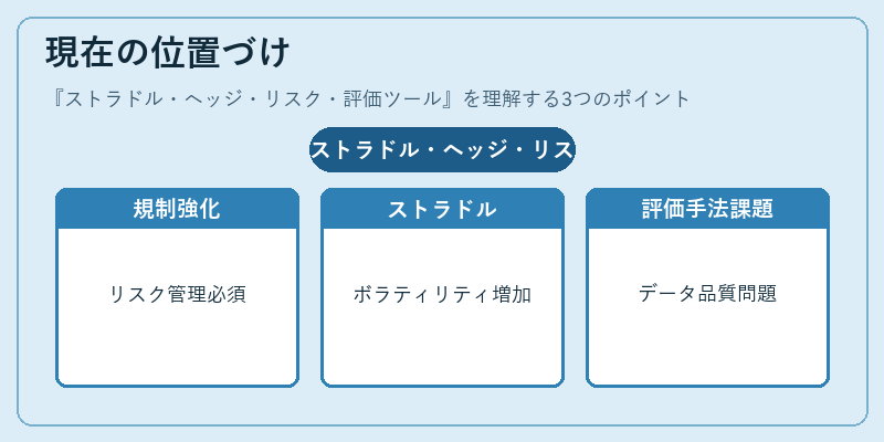現在の位置づけ（ストラドル・ヘッジ・リスク・評価ツール）の図解