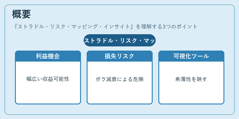 概要（ストラドル・リスク・マッピング・インサイト）の図解