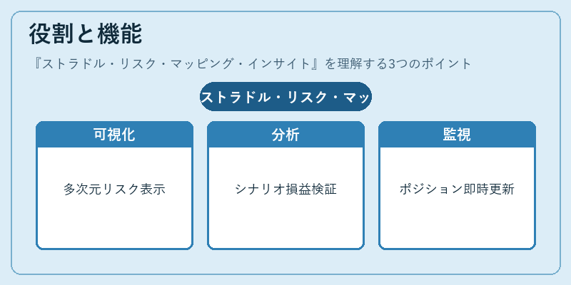 役割と機能（ストラドル・リスク・マッピング・インサイト）の図解