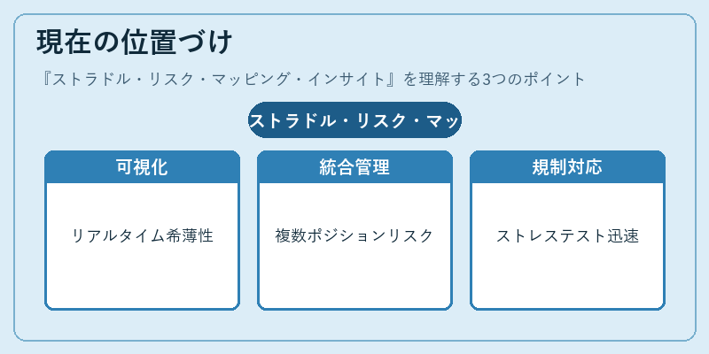 現在の位置づけ（ストラドル・リスク・マッピング・インサイト）の図解
