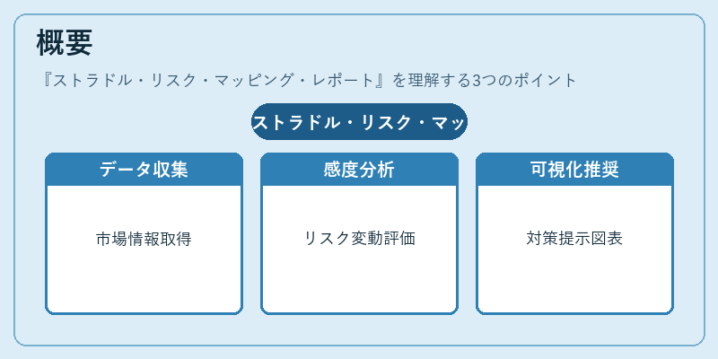 概要（ストラドル・リスク・マッピング・レポート）の図解