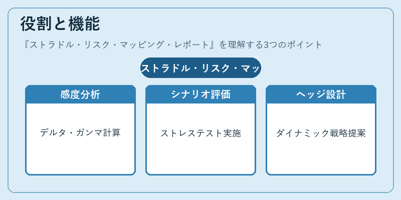 役割と機能（ストラドル・リスク・マッピング・レポート）の図解