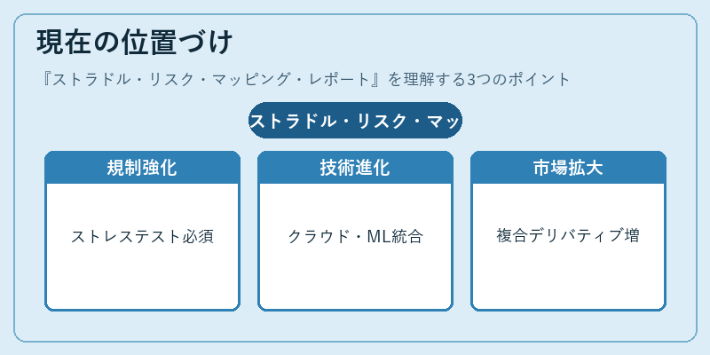 現在の位置づけ（ストラドル・リスク・マッピング・レポート）の図解