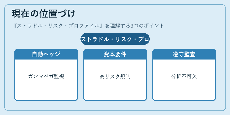 現在の位置づけ（ストラドル・リスク・プロファイル）の図解