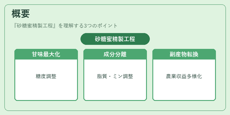 概要（砂糖蜜精製工程）の図解