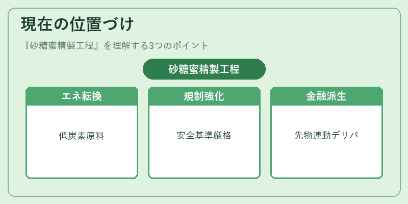 現在の位置づけ（砂糖蜜精製工程）の図解