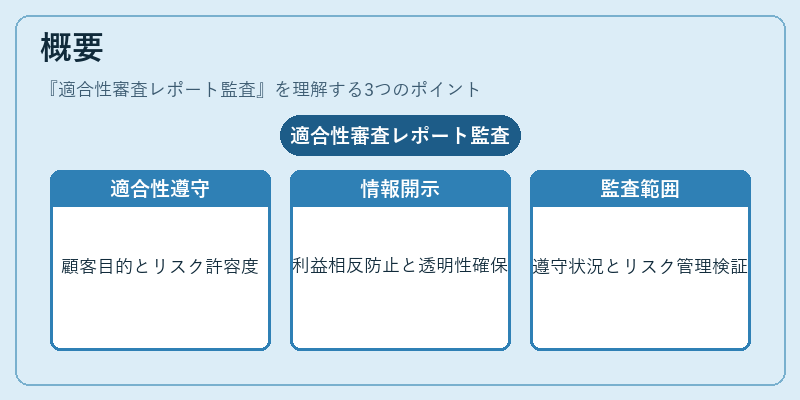 概要（適合性審査レポート監査）の図解
