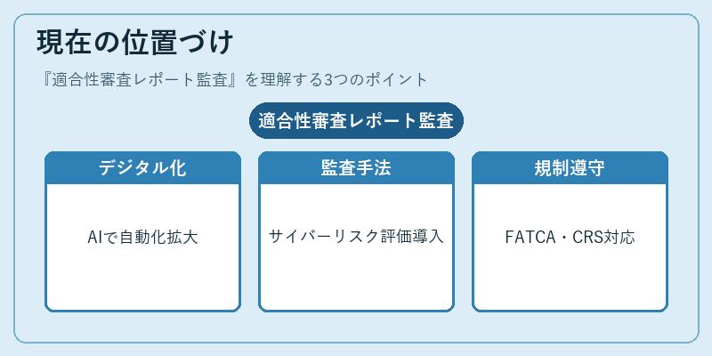 現在の位置づけ（適合性審査レポート監査）の図解