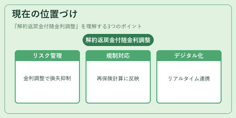 現在の位置づけ(解約返戻金付随金利調整)の図解