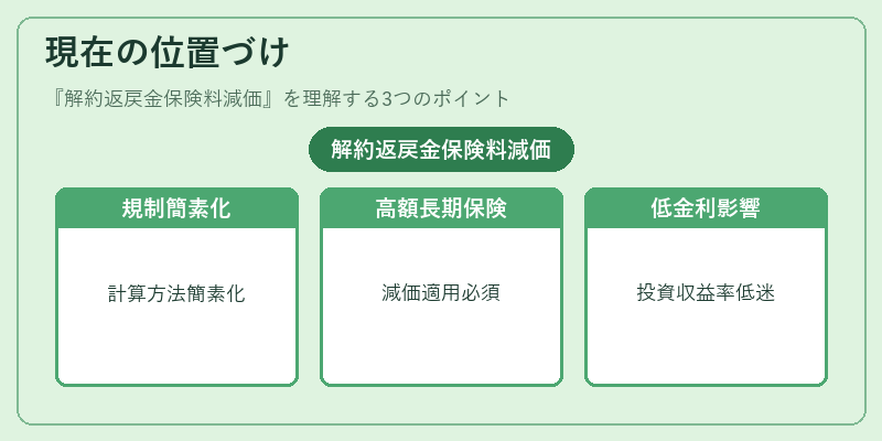 現在の位置づけ(解約返戻金保険料減価)の図解