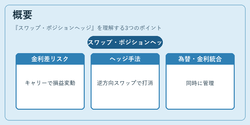 概要（スワップ・ポジションヘッジ）の図解