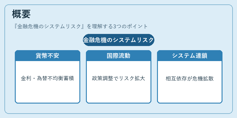 概要(金融危機のシステムリスク)の図解