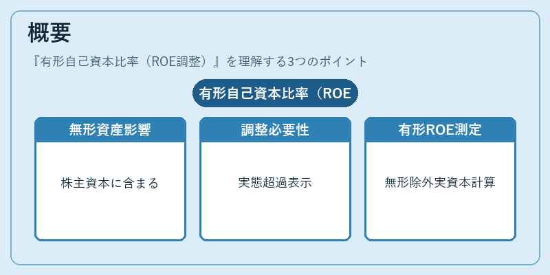 概要（有形自己資本比率（ROE調整））の図解