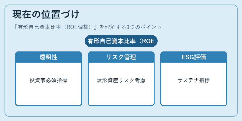 現在の位置づけ（有形自己資本比率（ROE調整））の図解