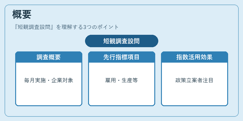 概要（短観調査設問）の図解