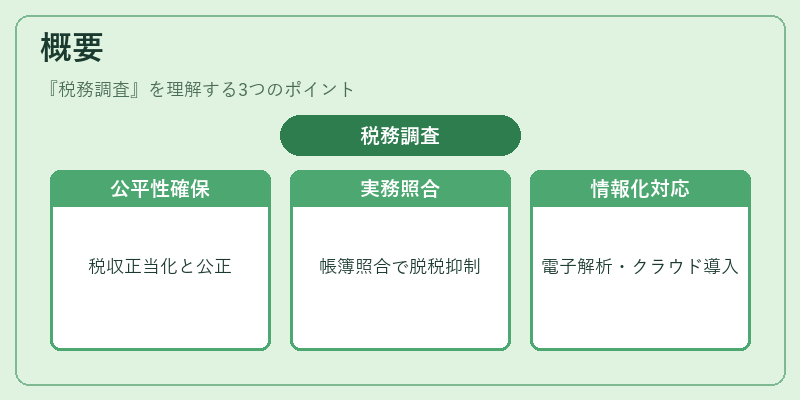 概要(税務調査)の図解