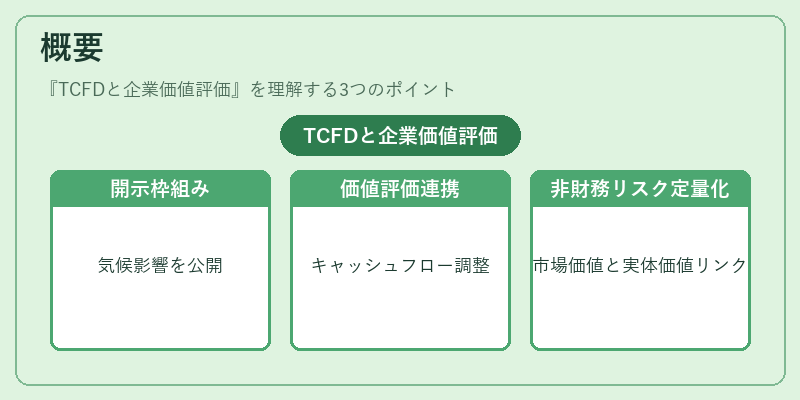 概要（TCFDと企業価値評価）の図解