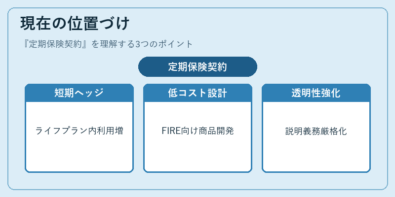 現在の位置づけ(定期保険契約)の図解