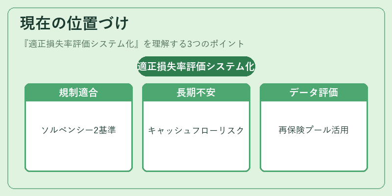 現在の位置づけ(適正損失率評価システム化)の図解