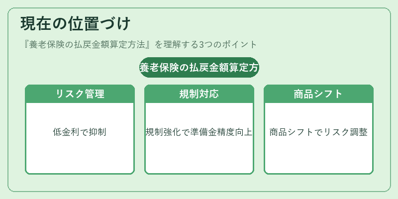 現在の位置づけ（養老保険の払戻金額算定方法）の図解