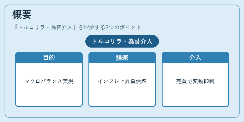概要（トルコリラ・為替介入）の図解