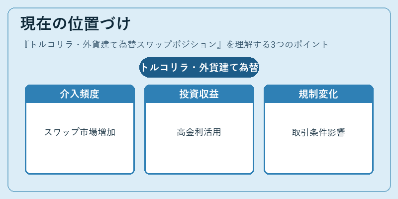 現在の位置づけ（トルコリラ・外貨建て為替スワップポジション）の図解
