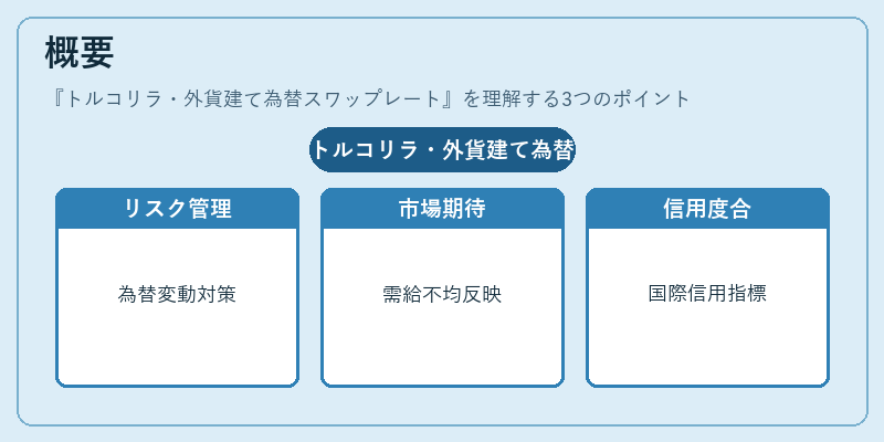 概要(トルコリラ・外貨建て為替スワップレート)の図解