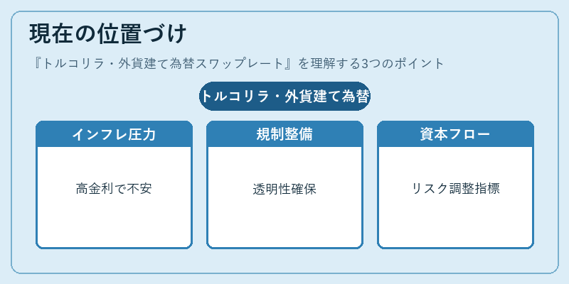 現在の位置づけ(トルコリラ・外貨建て為替スワップレート)の図解