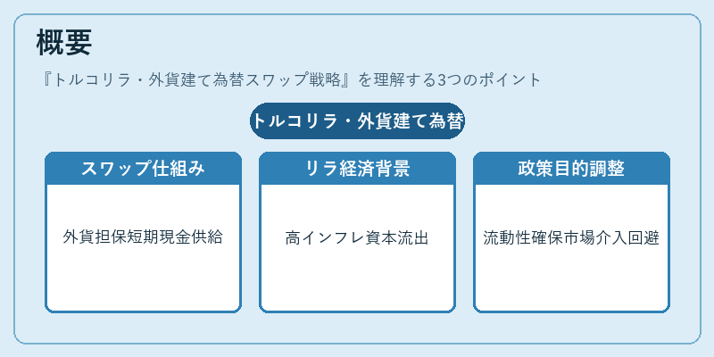 概要（トルコリラ・外貨建て為替スワップ戦略）の図解