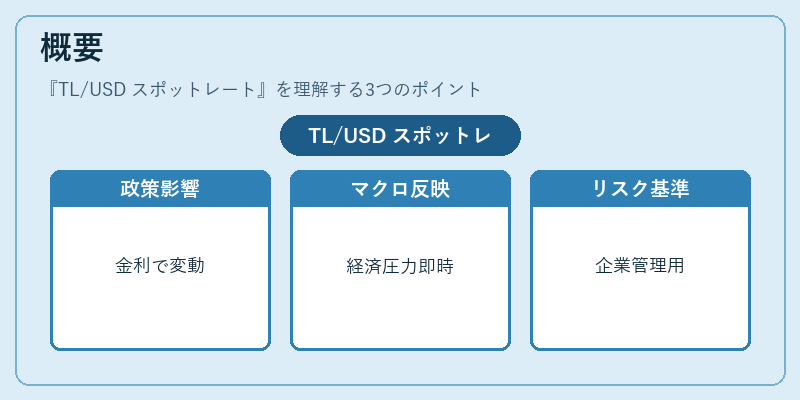 概要（TL/USD スポットレート）の図解