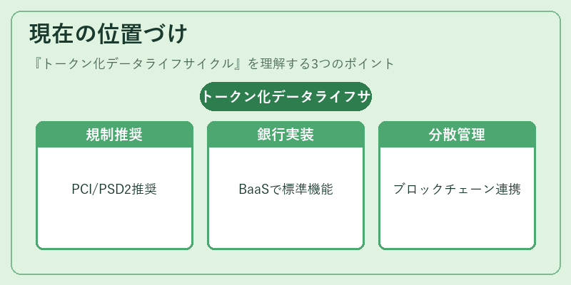 現在の位置づけ（トークン化データライフサイクル）の図解