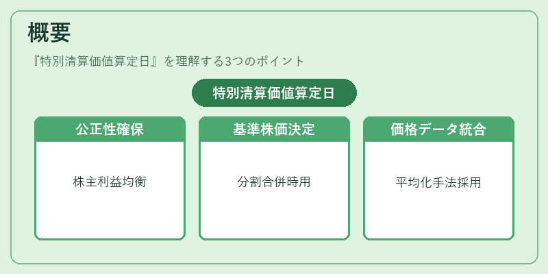 概要(特別清算価値算定日)の図解