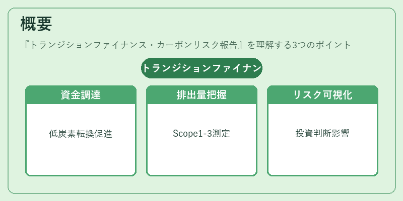 概要(トランジションファイナンス・カーボンリスク報告)の図解
