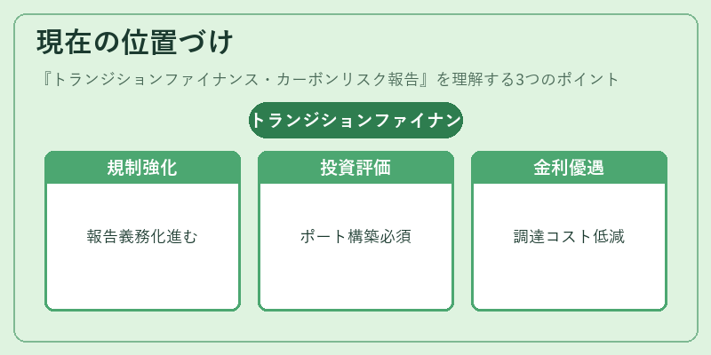 現在の位置づけ(トランジションファイナンス・カーボンリスク報告)の図解