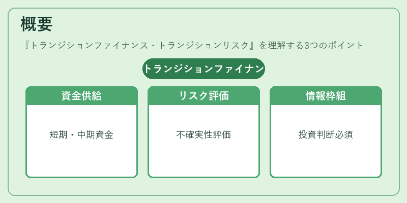 概要（トランジションファイナンス・トランジションリスク）の図解