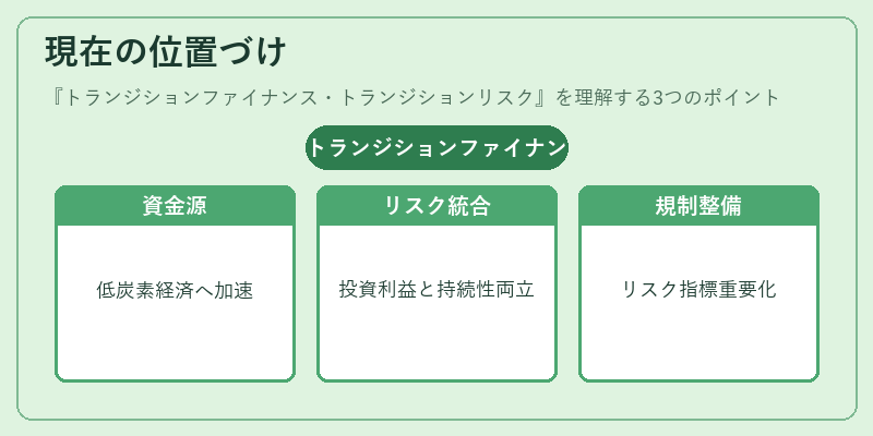 現在の位置づけ（トランジションファイナンス・トランジションリスク）の図解