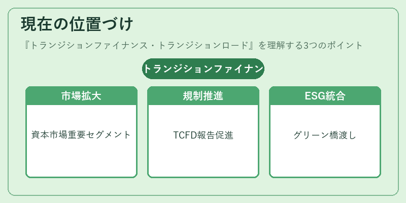 現在の位置づけ(トランジションファイナンス・トランジションロード)の図解
