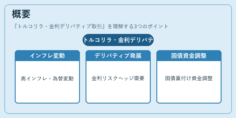 概要（トルコリラ・金利デリバティブ取引）の図解