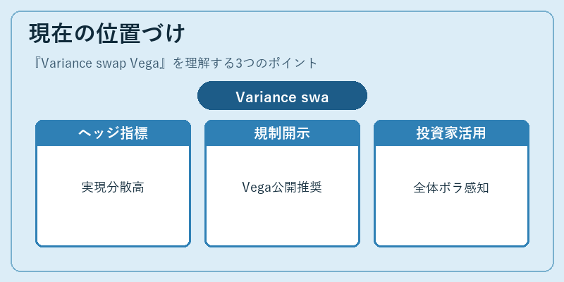現在の位置づけ（Variance swap Vega）の図解