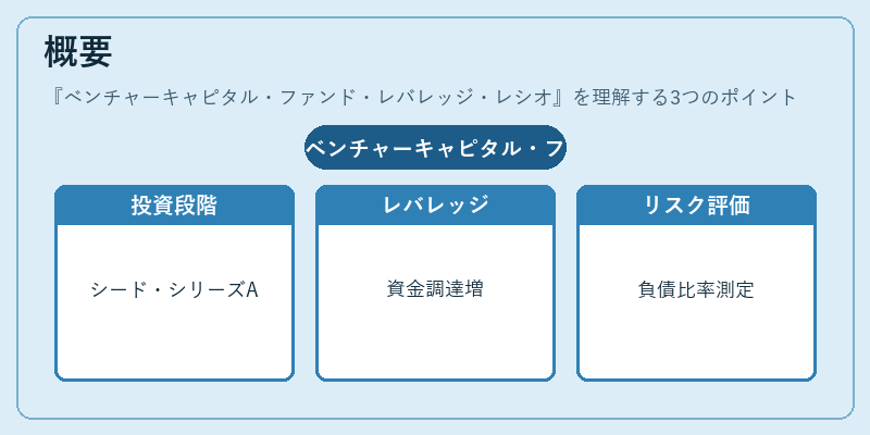 概要（ベンチャーキャピタル・ファンド・レバレッジ・レシオ）の図解