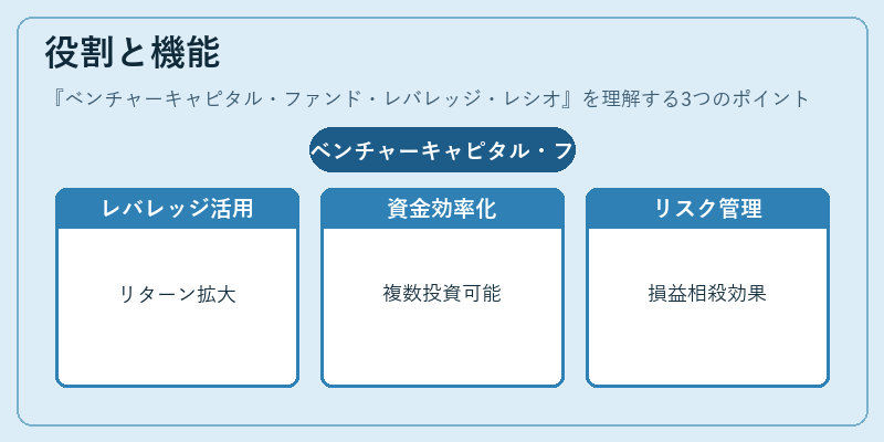 役割と機能（ベンチャーキャピタル・ファンド・レバレッジ・レシオ）の図解